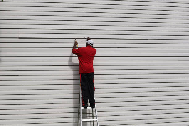 Best Custom Trim and Detailing for Siding  in Williston, FL